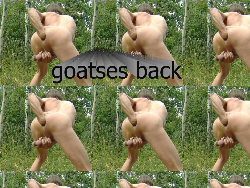 goatsesback