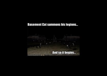 Basement Cat and His Legions
