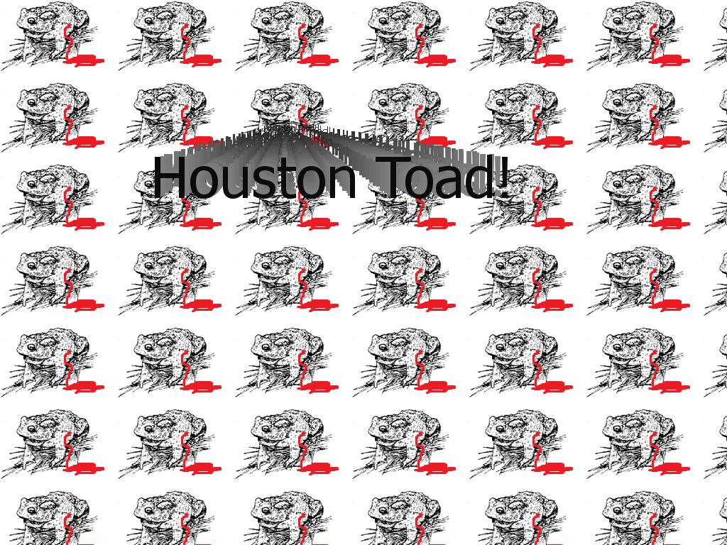 houstontoad