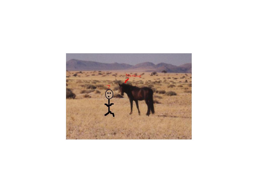 IveBeenThroughTheDesertWithAHorseWithNoName
