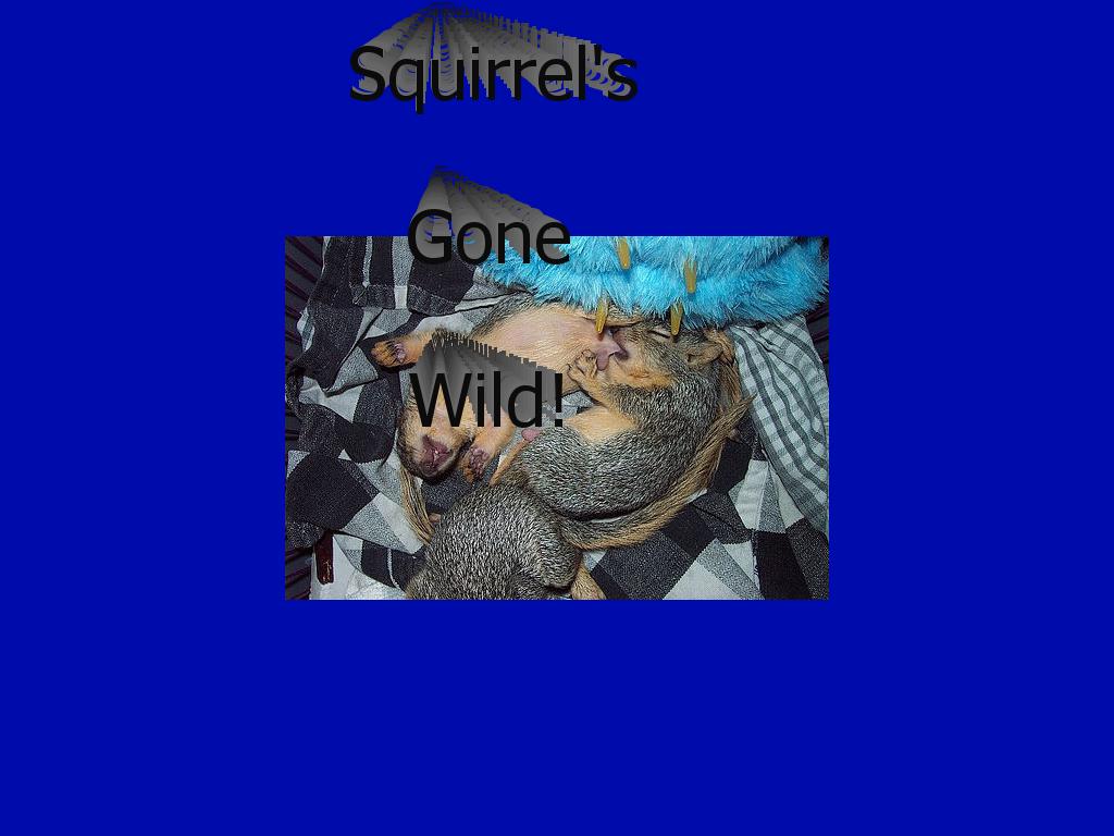 Squirrelsgonewild