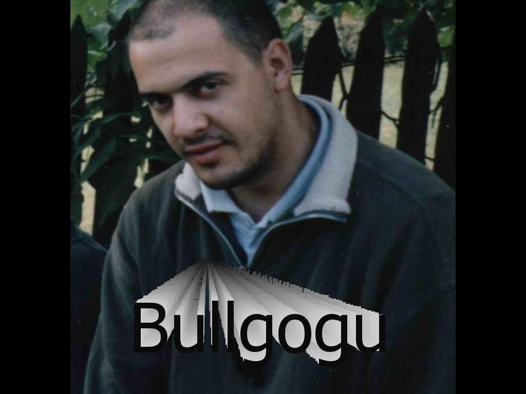 bullgogu