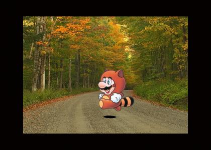 Mario crosses the Road