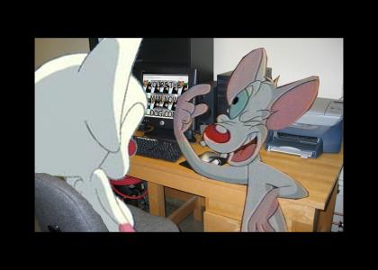 pinky and the brain discover ytmnd (updated)