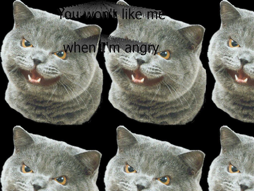 angrycatNEMD