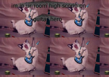 Cat In Ur Room
