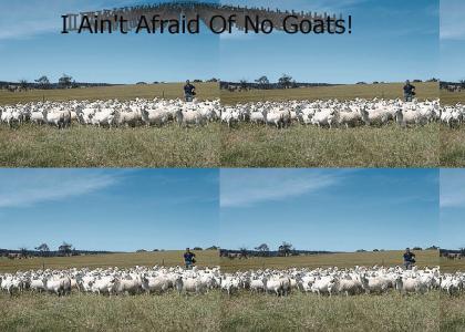 Afraid of Goats?