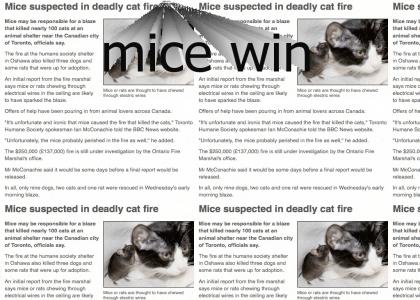 mice win