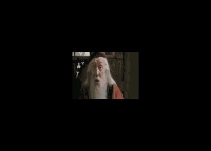 Dumbledore Gonna Give It To Ya