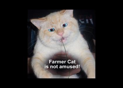 Farmer Cat is not Amused