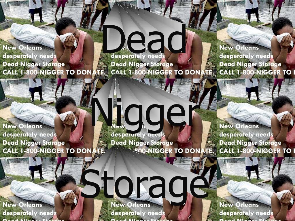 weneeddeadniggerstorage