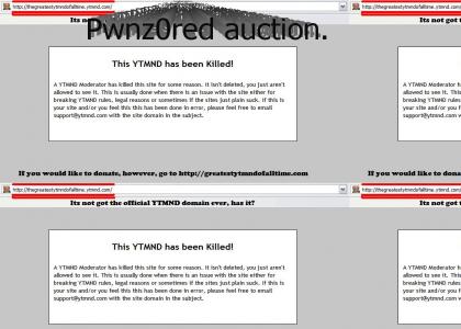 Greatest YTMND Auction had one weakness...