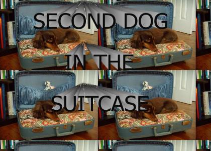 SECOND DOG IN THE SUITCASE