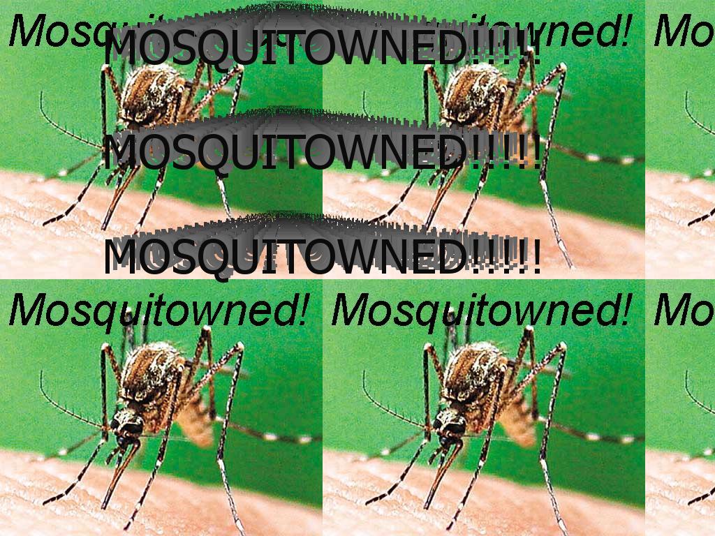 mosquitoowned