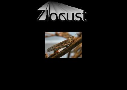 Zlocust