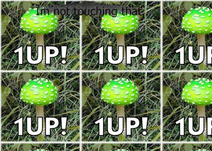 1up Mushroom!