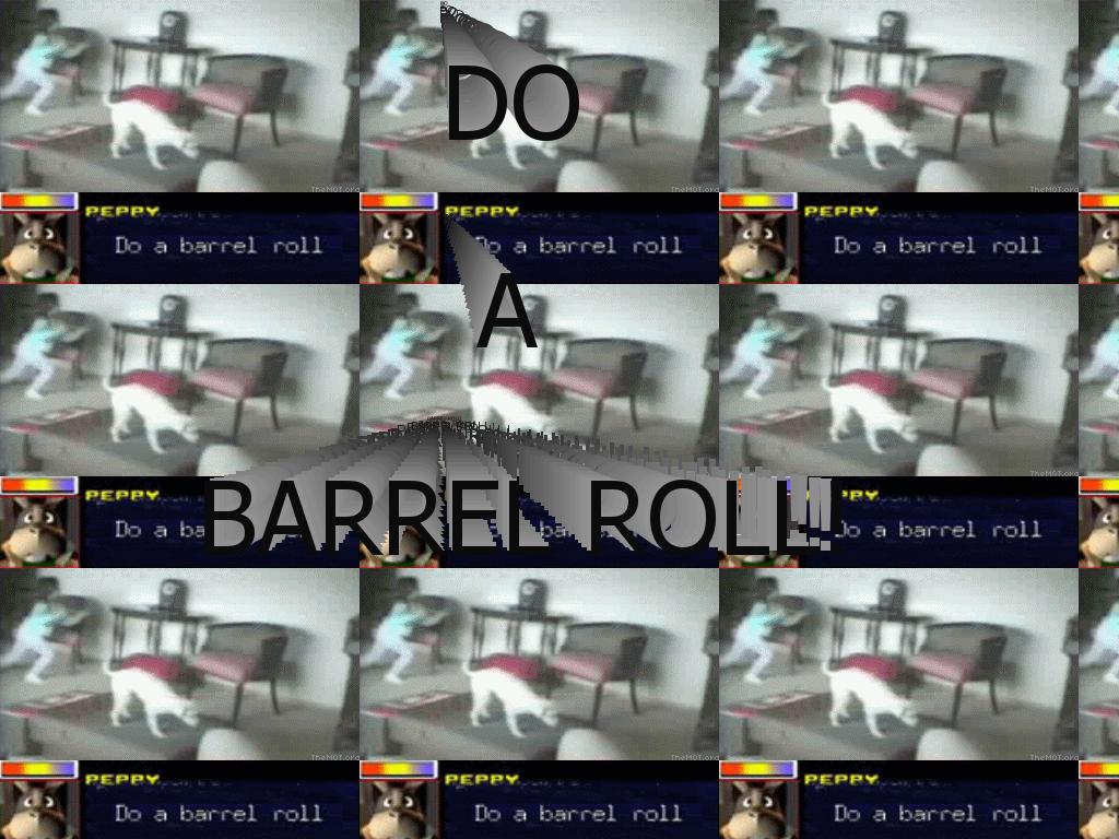 dogbarrelroll69