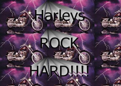 Harley!