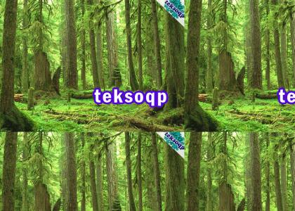 OMG SECRET TEKSOQP FOREST
