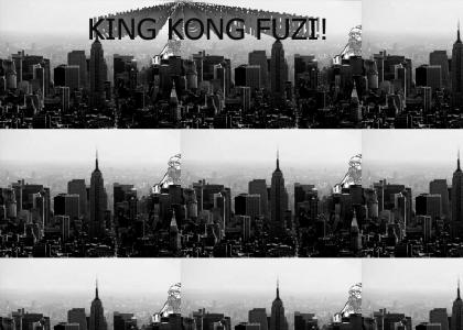 KingKongFuzi