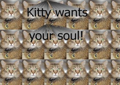 kitty wants your soul