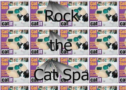 Rock the Cat Spa *update*