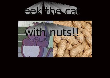 eek the cat with nuts