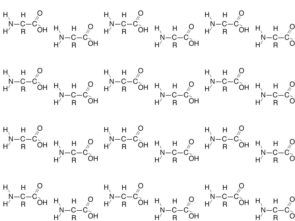 dehydrationsynthesis