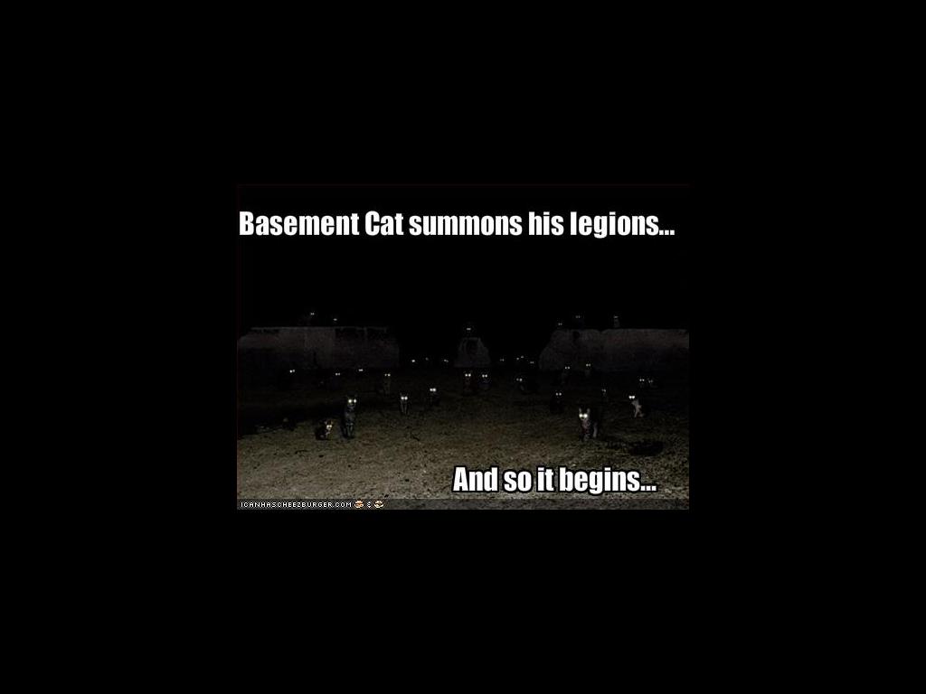 basementcat