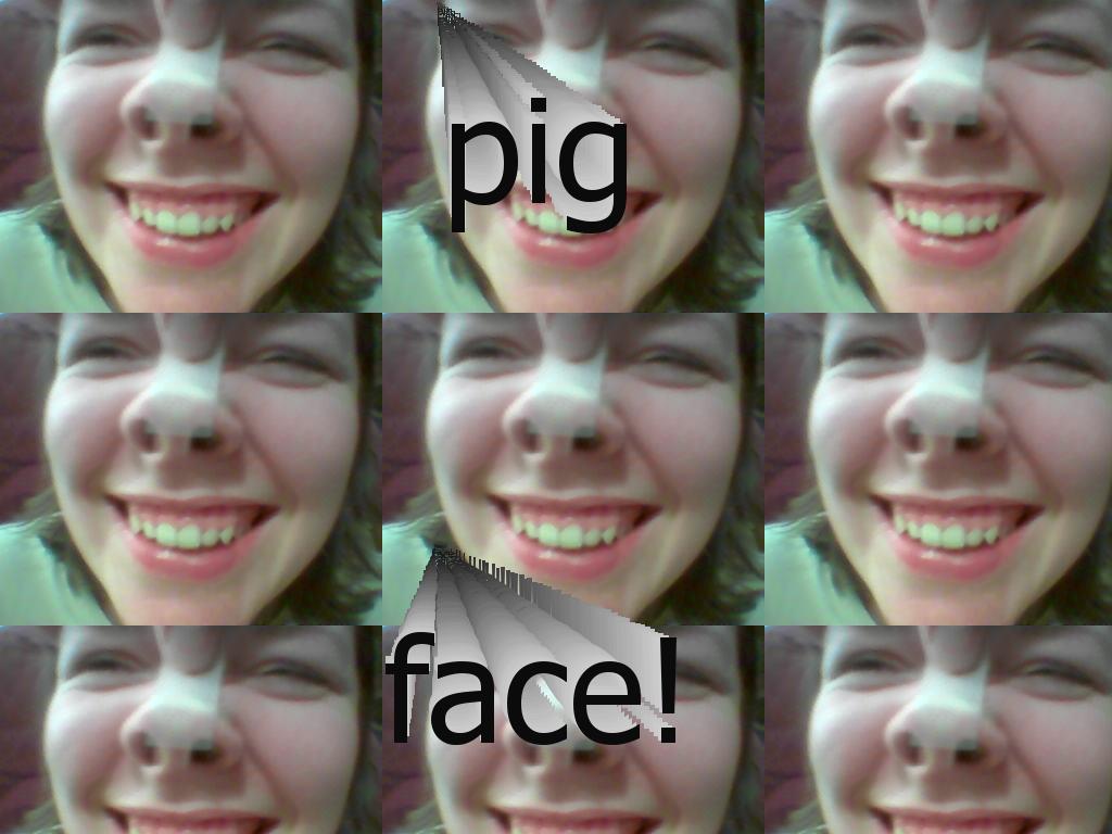 pigface