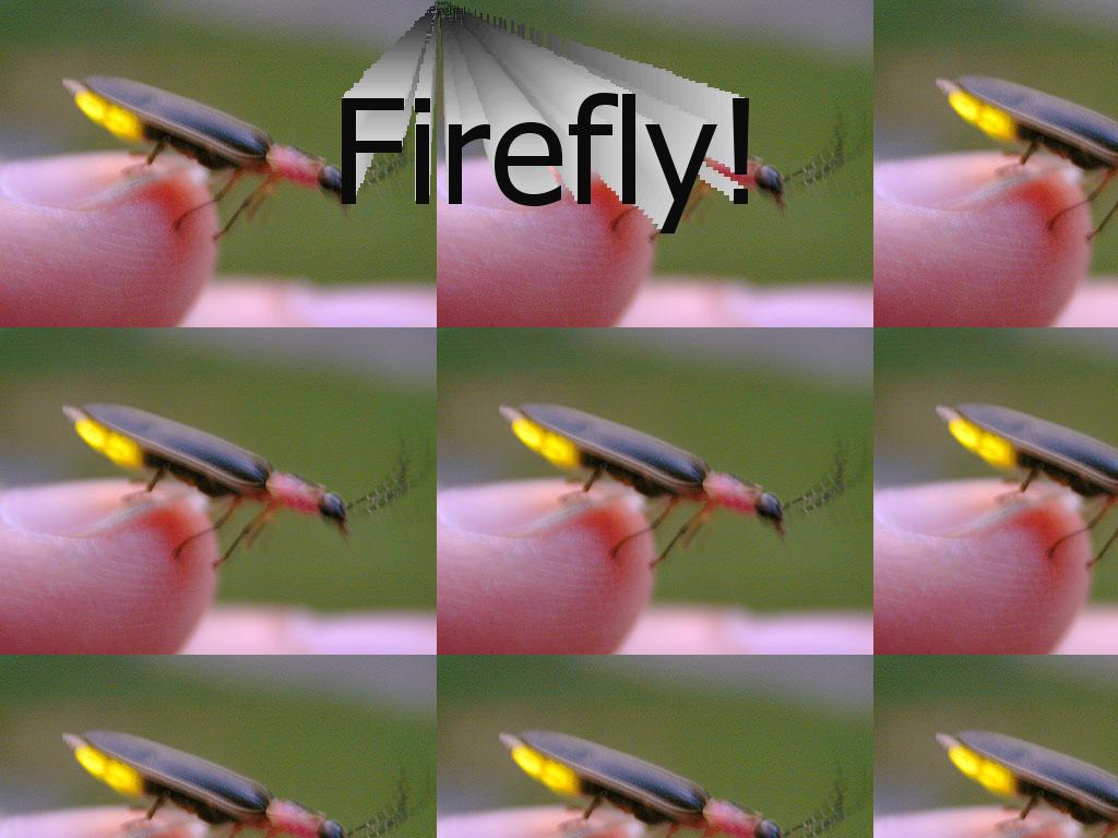 fireflyfeurfrei