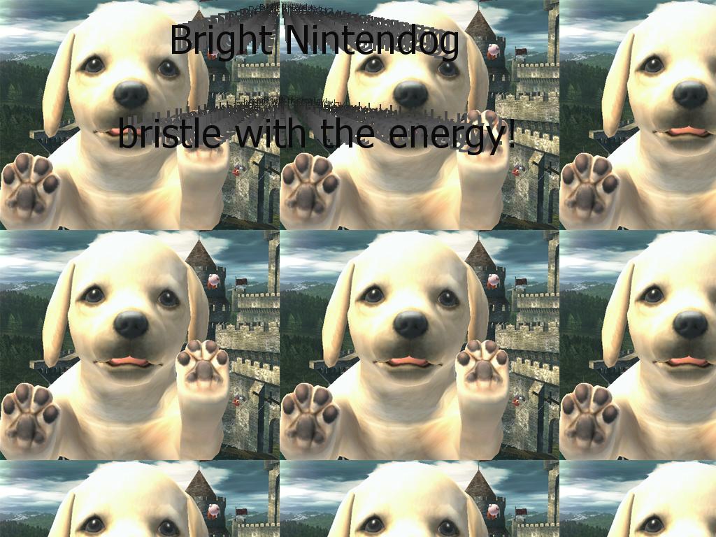 NintendogsRUSH