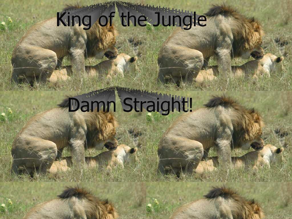 lion-king