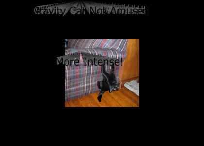Gravity Cat v4.0 (more Cascada)