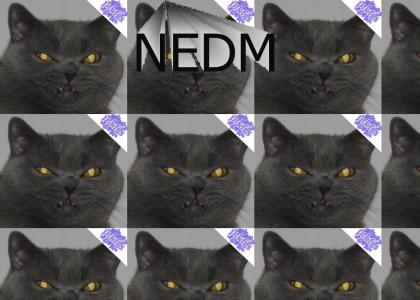 PTKFGS: Un-Happy Cat (NEDM)