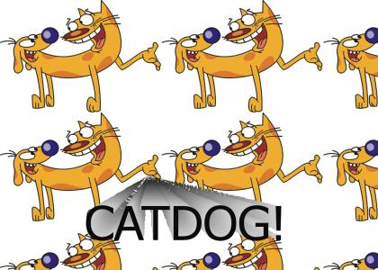 CatDog!