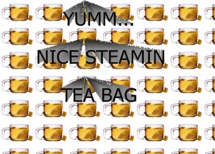 STEAMY TEA-BAGGING ACTION!!!1