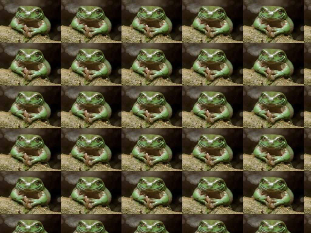 schemingfrog