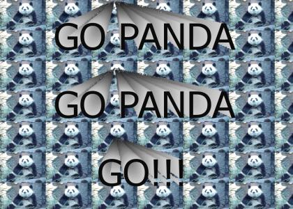 Go panda go panda go!!