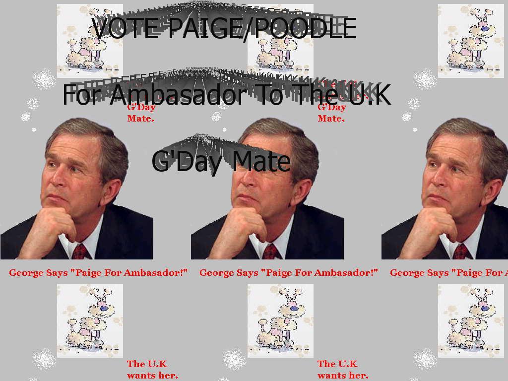 ambasadorpaige