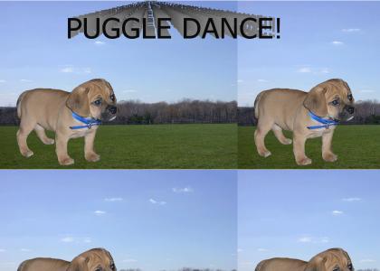 Puggle Dance