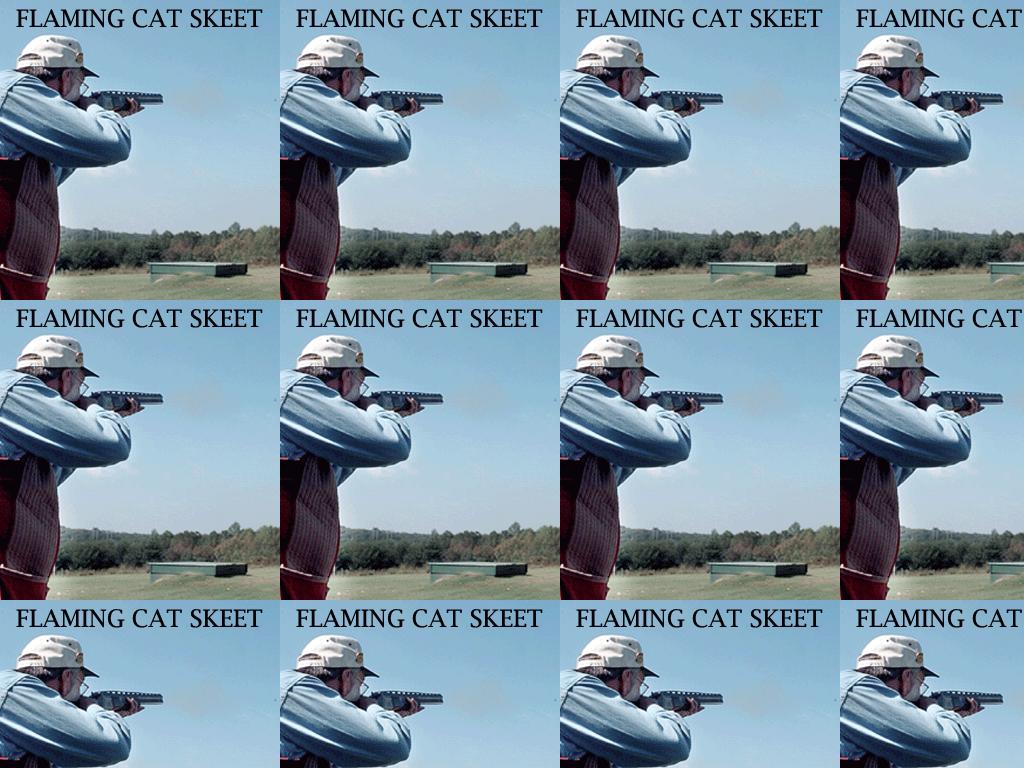 catskeet