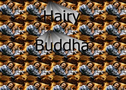 Hairy-Buddha