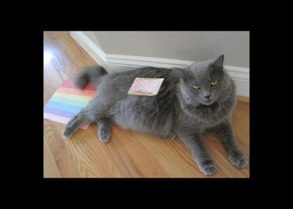 Not the same Nyan Cat!