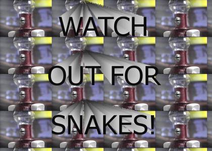 Watch Out For Snakes!