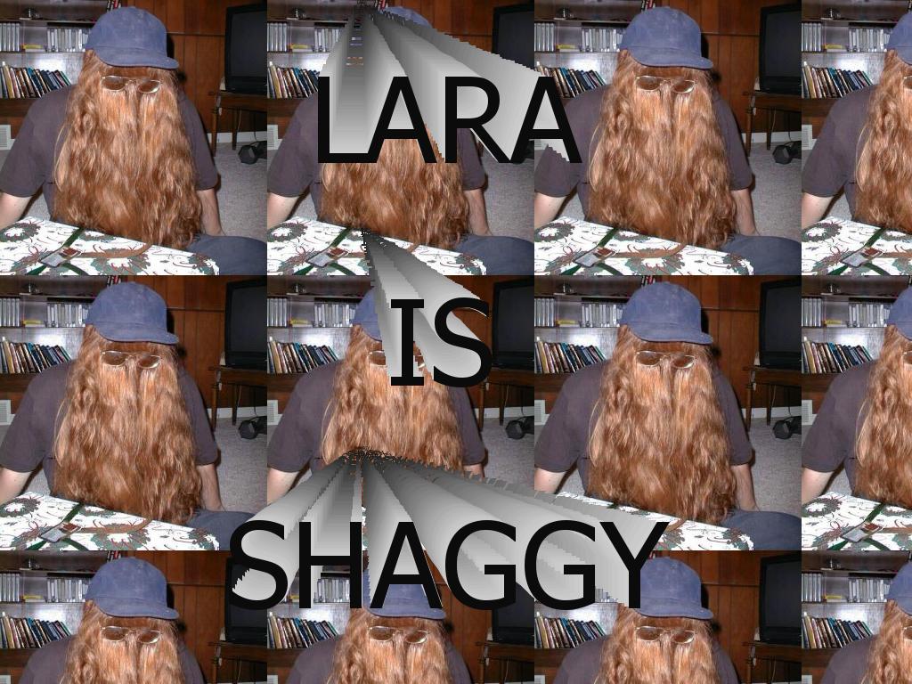 Laraisshaggy