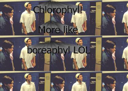 Chlorophyl?