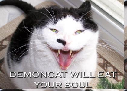 DEMONCAT WILL EAT YOUR SOUL
