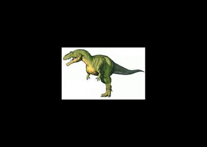 Genetics of the T-Rex