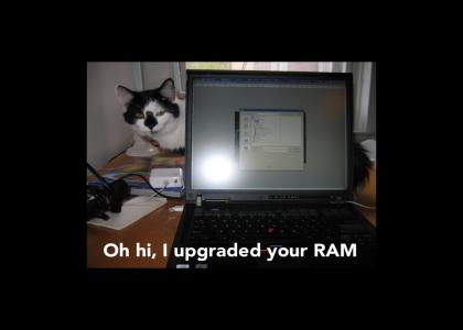 Oh hi, I upgraded your RAM